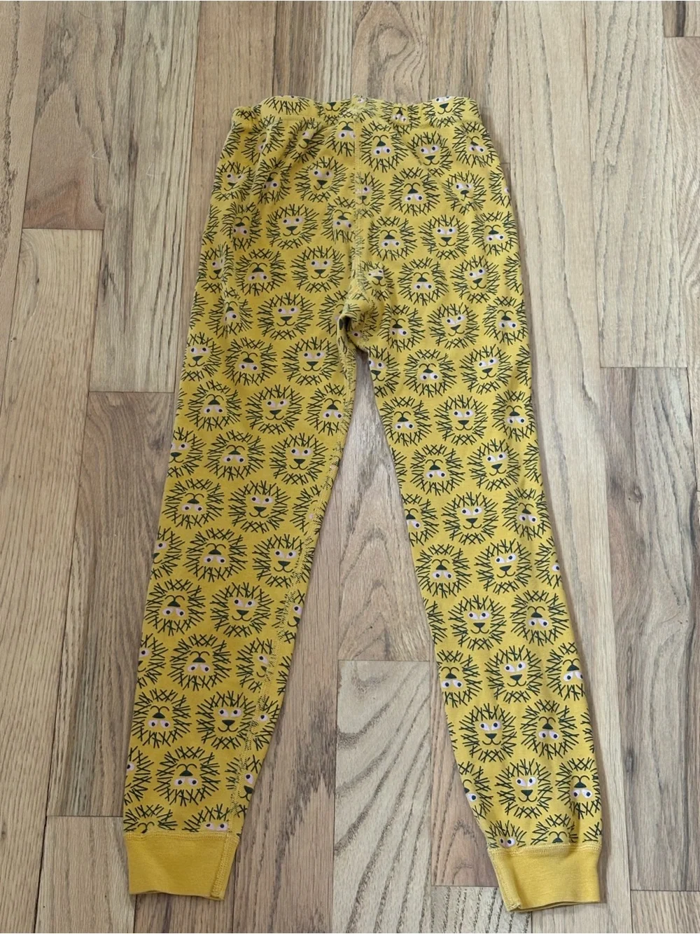 Hanna Andersson Lion Pajamas